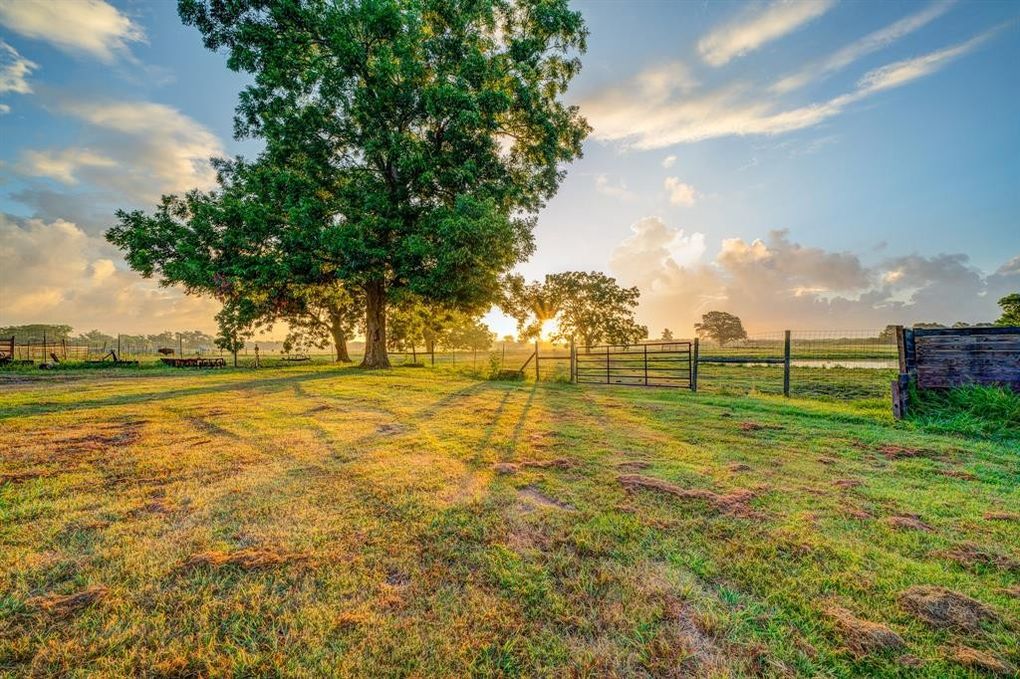 Bethel Revival Ranch photo 3