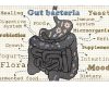 gut health
