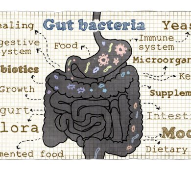gut health