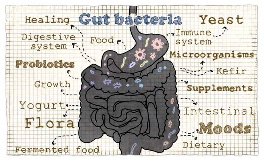 gut health