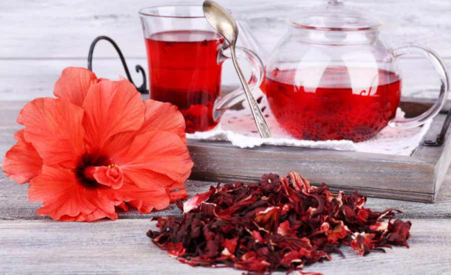 hibiscustea